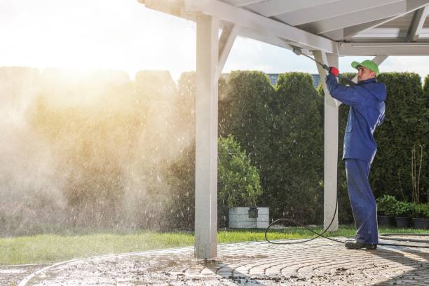 Best Animal Enclosure Cleaning  in Maryville, TN